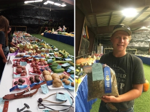 Fremont High School FFA projects show a summer of hard work growing crops by these kids